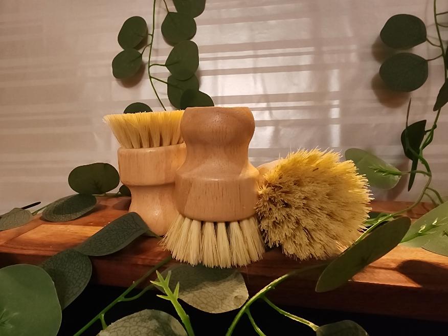 Dish Soap Brush