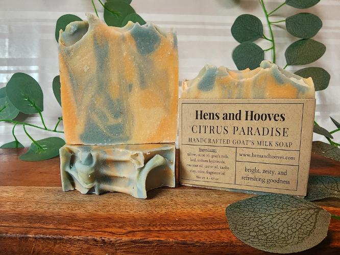 Citrus Paradise Goat's Milk Soap